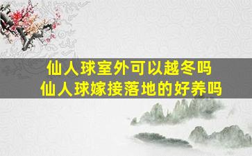 仙人球室外可以越冬吗 仙人球嫁接落地的好养吗